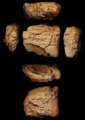 N1597