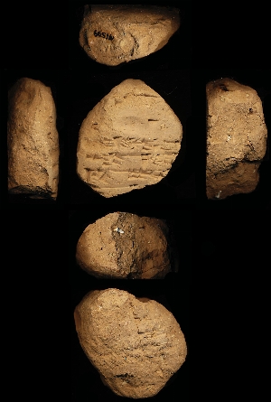 N1599