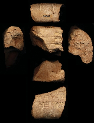 N1615