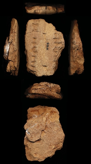 N1618