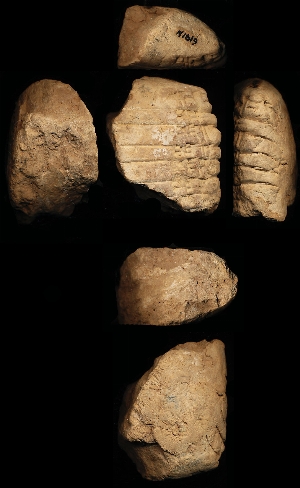 N1619