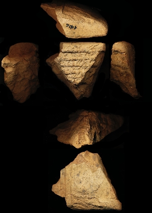 N1626