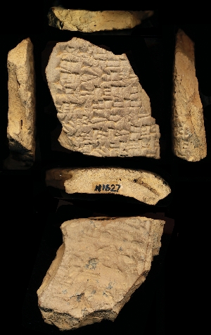 N1627