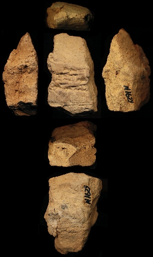N1629