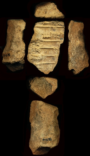 N1638