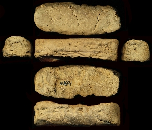 N1641