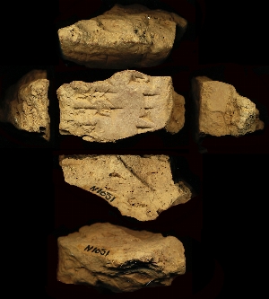 N1651