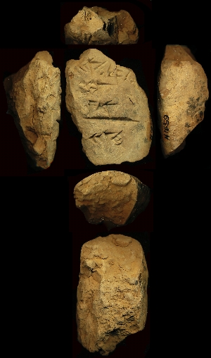 N1659