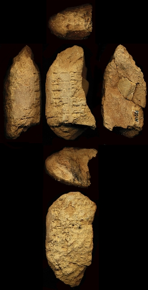 N1661