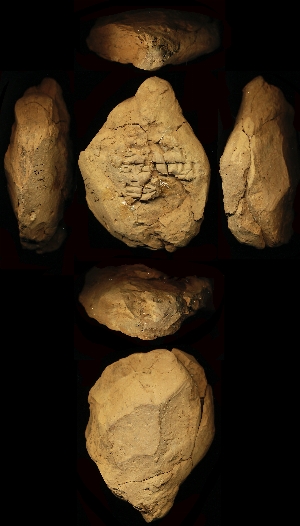 N1683