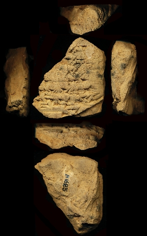N1685
