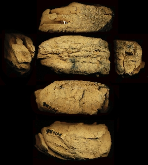 N1686