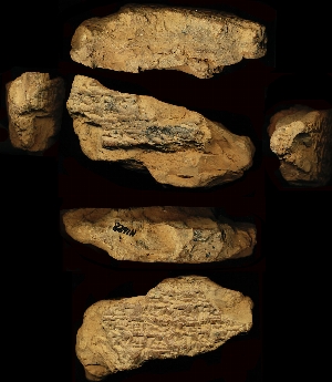 N1688