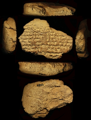 N1691