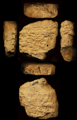 N1694