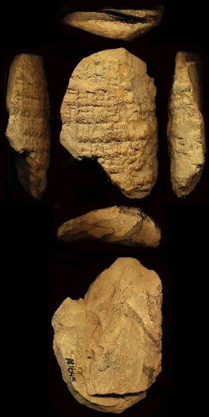 N1695