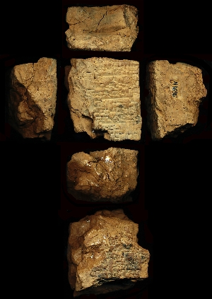 N1696