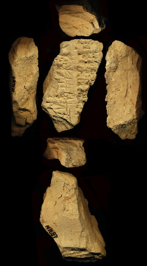 N1697