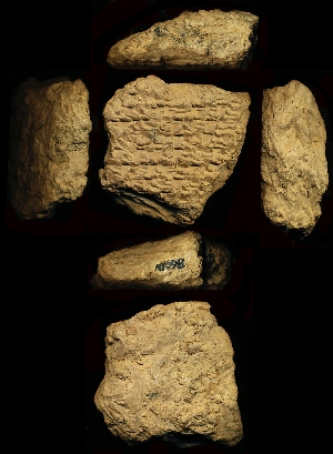N1698