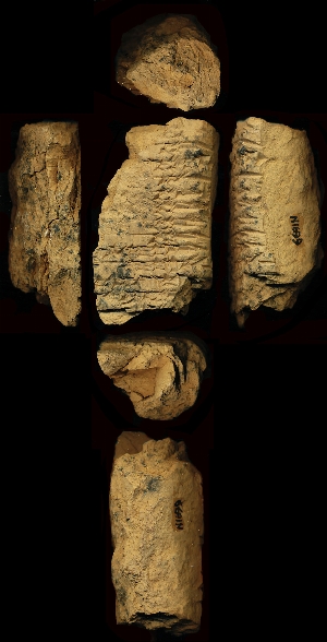 N1699