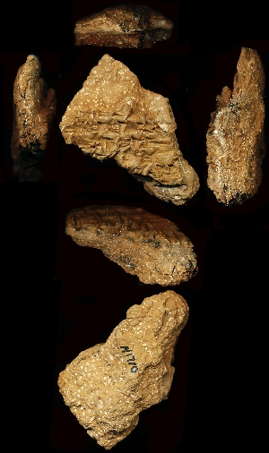 N1710