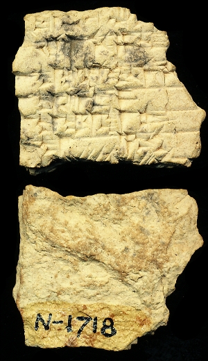 N1718