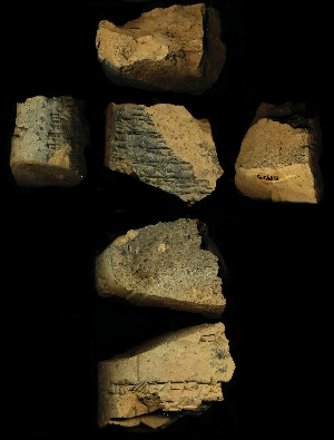 N1723