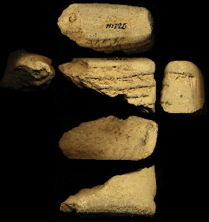 N1726