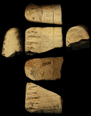 N1727