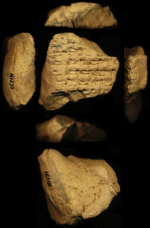 N1731A