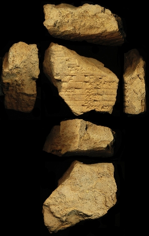 N1734