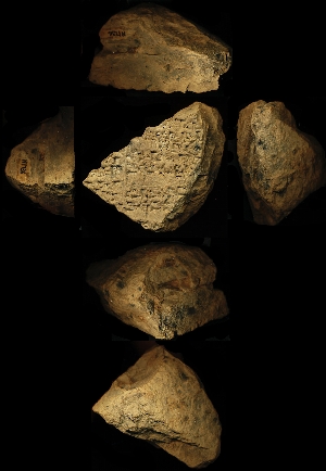 N1736
