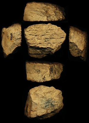 N1755