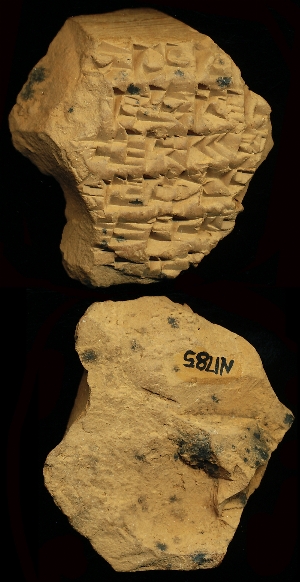 N1785