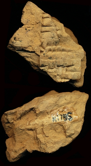 N1795