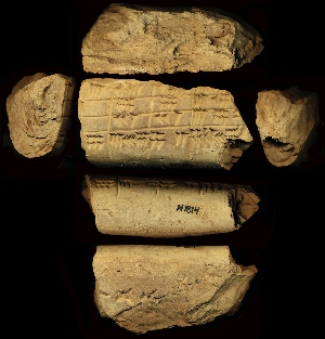 N1814