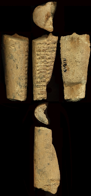 N1819