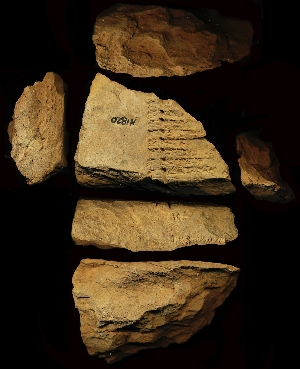 N1820