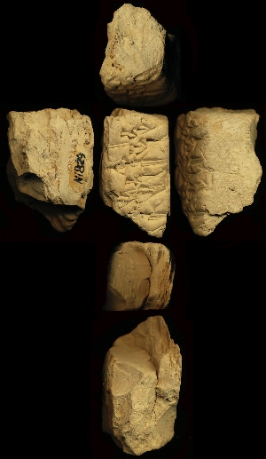 N1829