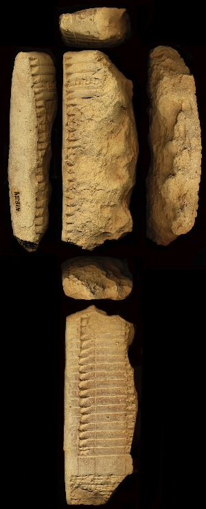 N1834