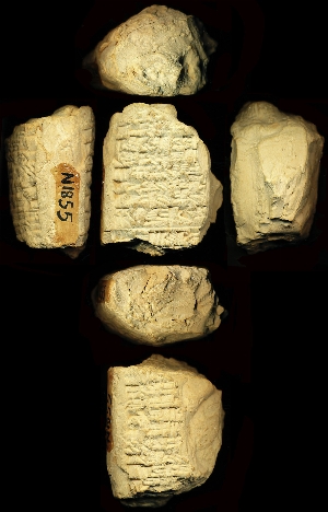 N1855