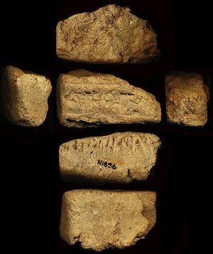 N1856