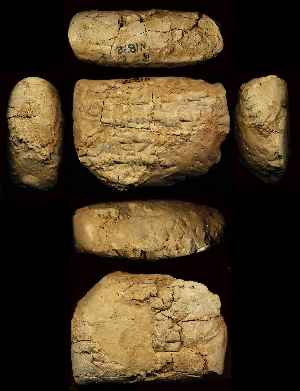 N1872