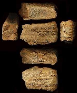 N1874