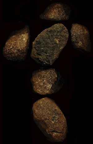 N1875