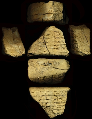 N1876