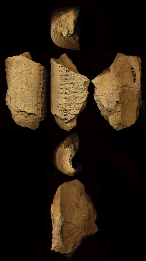 N1877