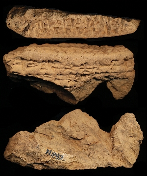 N1882