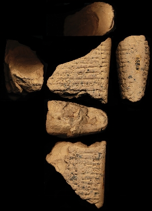 N1884