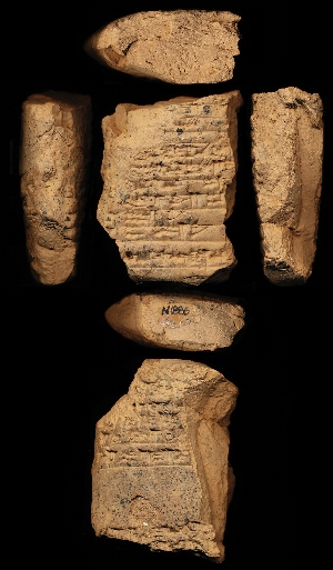 N1886
